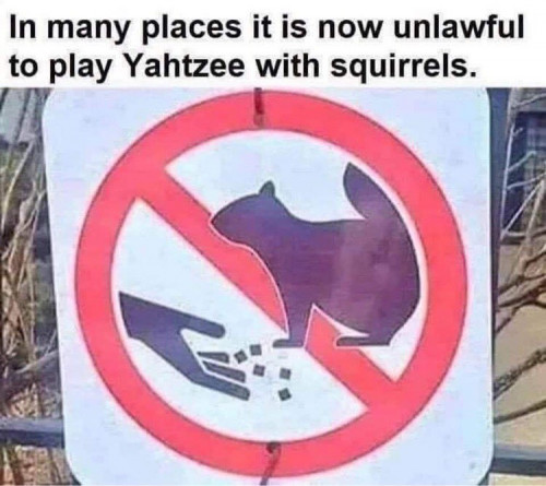 squirrel yahtzee meme