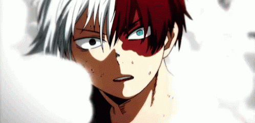 anime todoroki